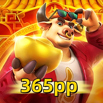 Imagem promocional da 365pp mostrando a plataforma e suas vantagens